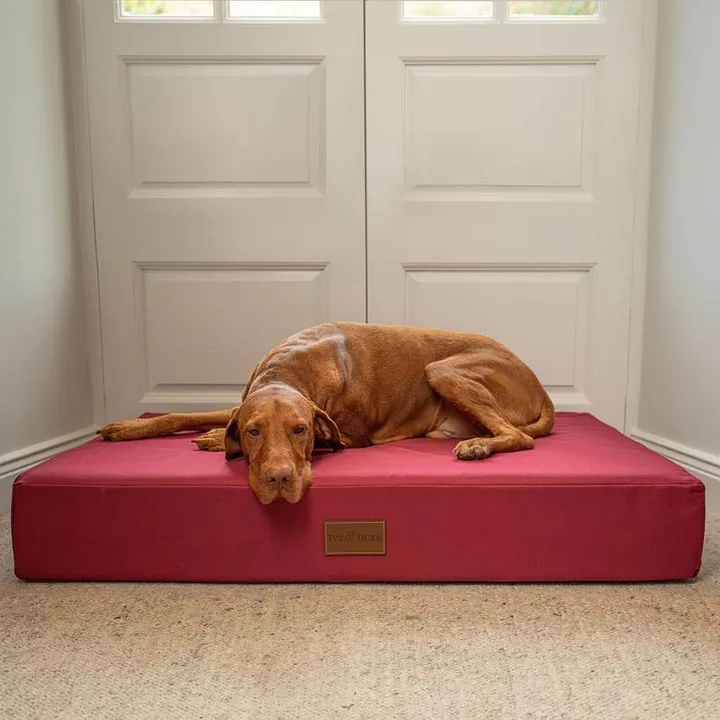 The Muttress Bed - Waterproof