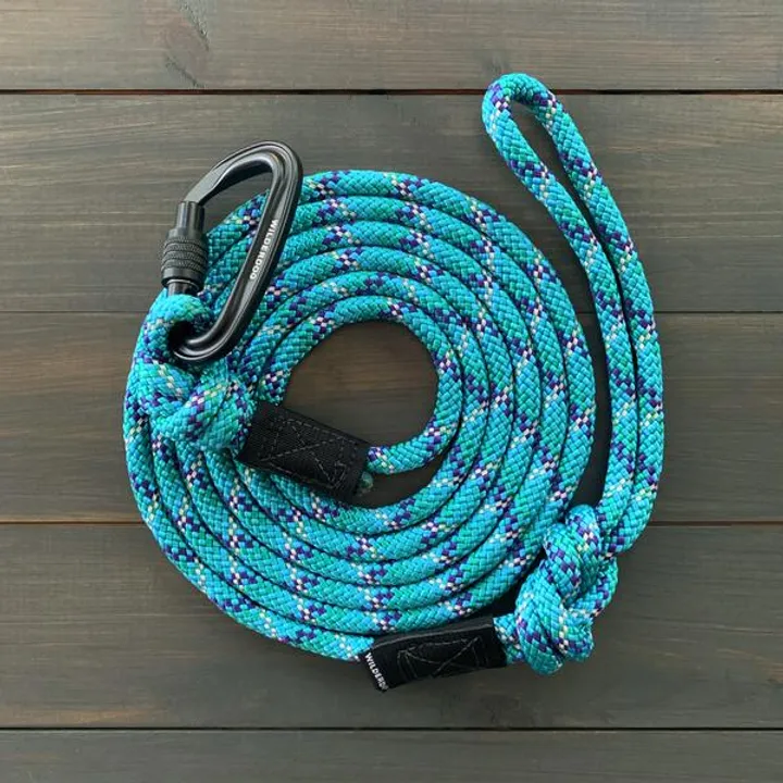 Islander Reflective Carabiner Lead
