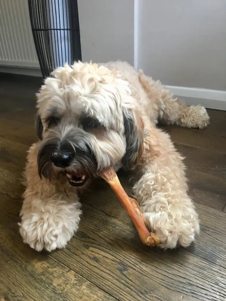 Beef Achilles Tendon Treat - Regular