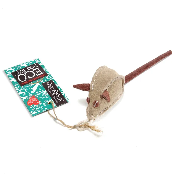 Mike the Mouse