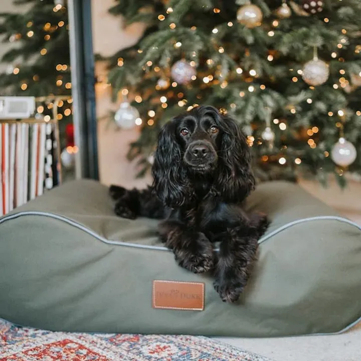 The Boneo Bed - Waterproof
