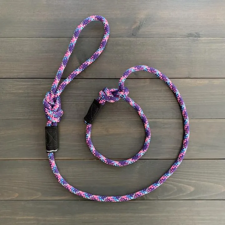 Razzleberry Reflective Slip Lead