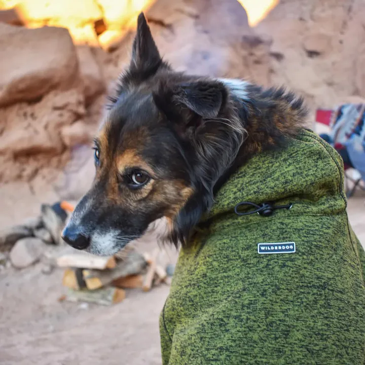 Olive Fleece Jacket