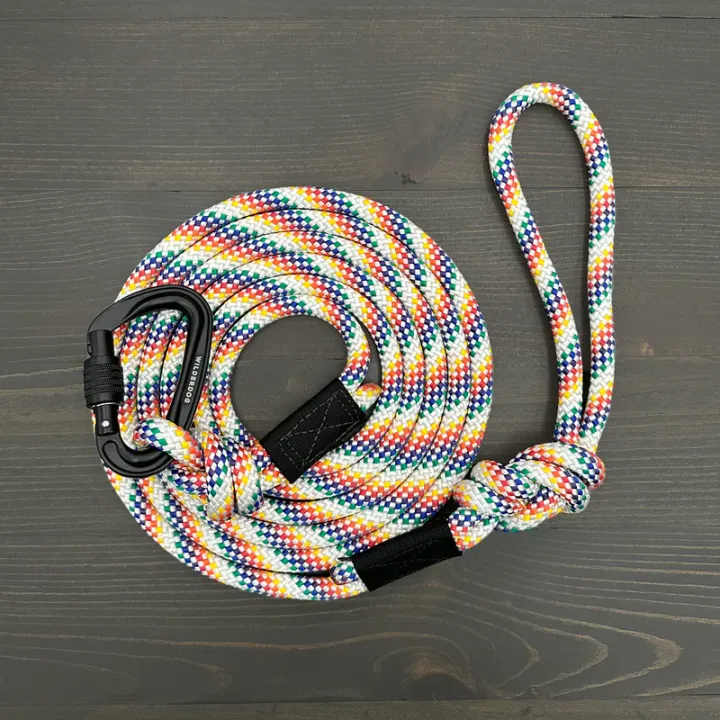 Rainbow Carabiner Lead