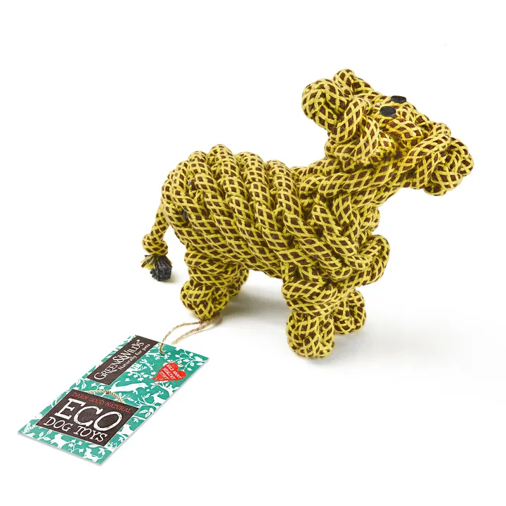 Lionel the Llama