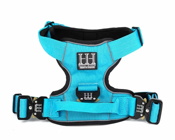 Utility Harness Aqua