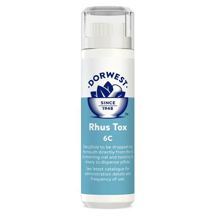 Rhus Tox 6C
