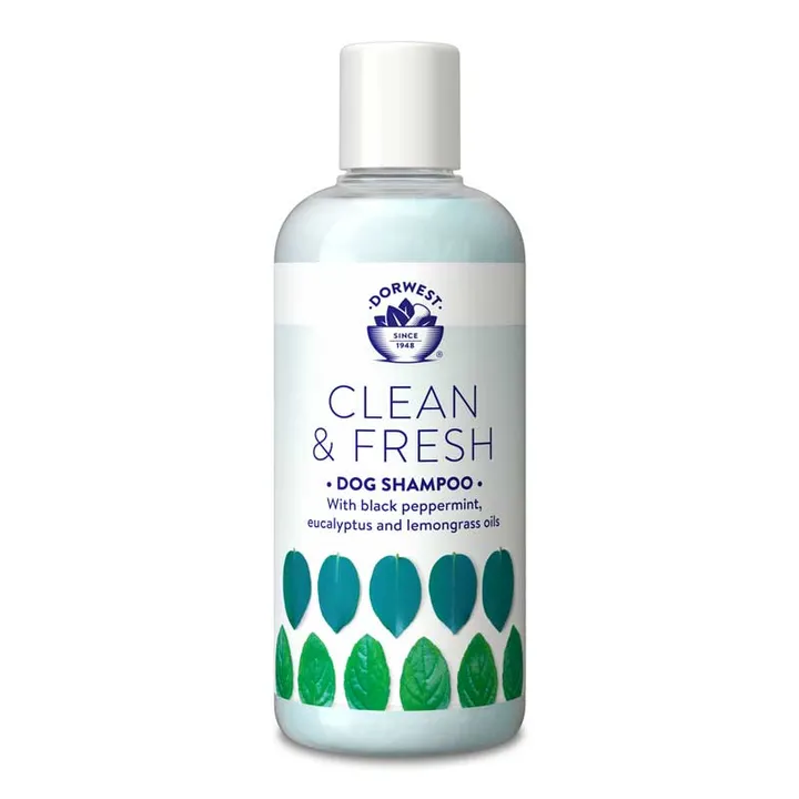 Clean and Fresh Shampoo