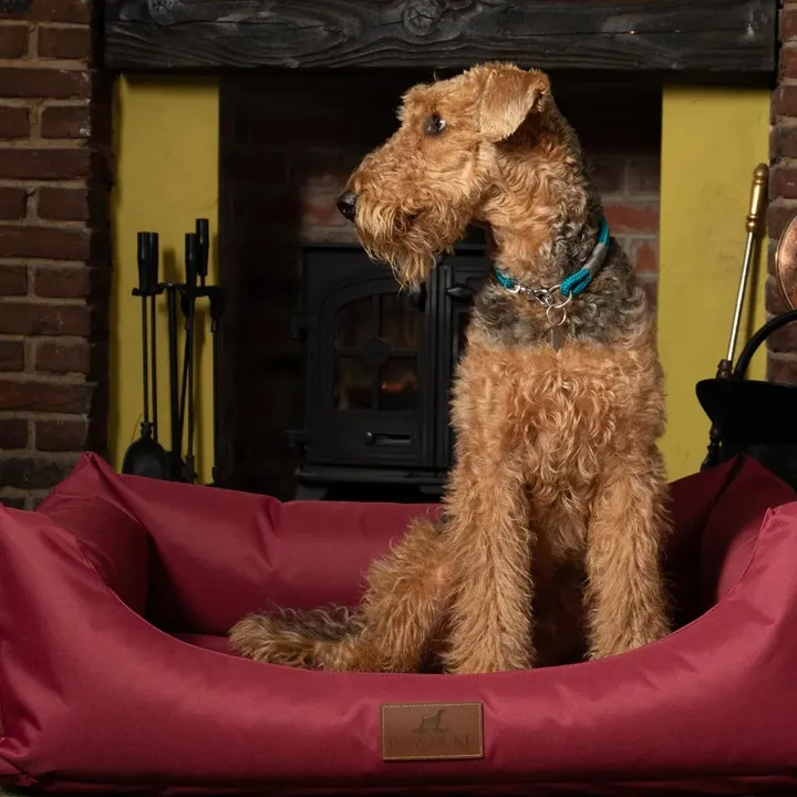 The Lounger Bed - Waterproof