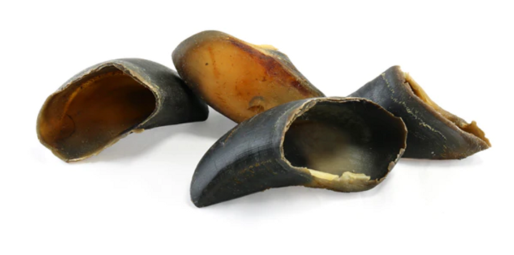 Buffalo Hooves
