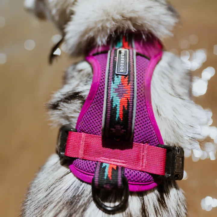 Berry Harness