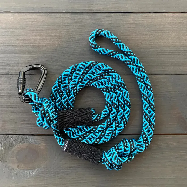 Teton Small Carabiner Lead