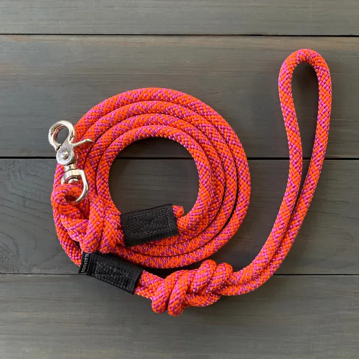 Sierra Quick Clip Lead
