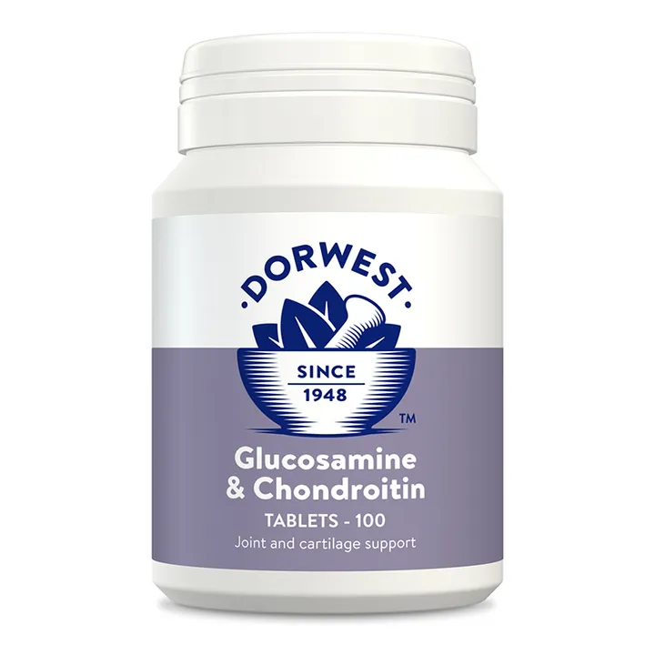 Gluchosamine and Chondroitin Tablets