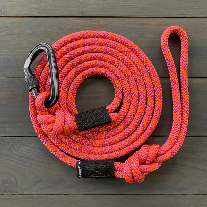 Sierra Carabiner Lead