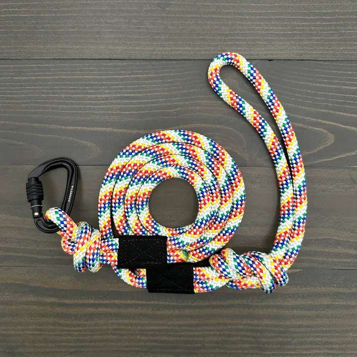 Rainbow Small Carabiner Lead