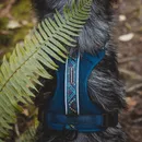 Pacific Blue Harness