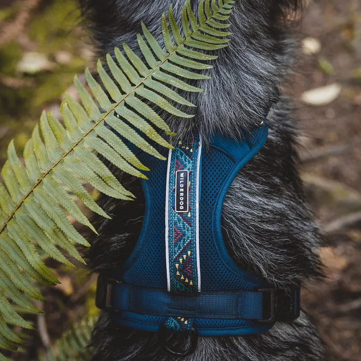 Pacific Blue Harness