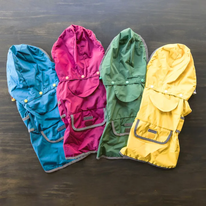 Rain Coat