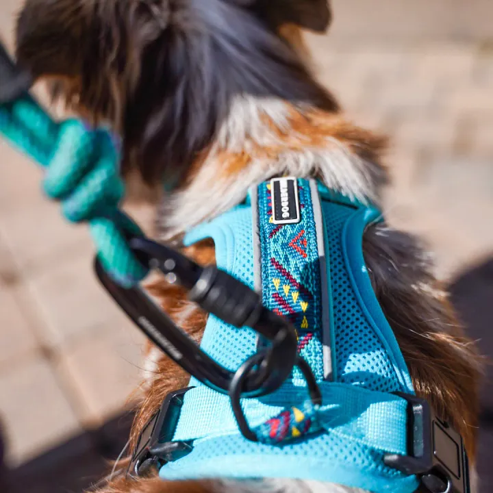 Teal Harness