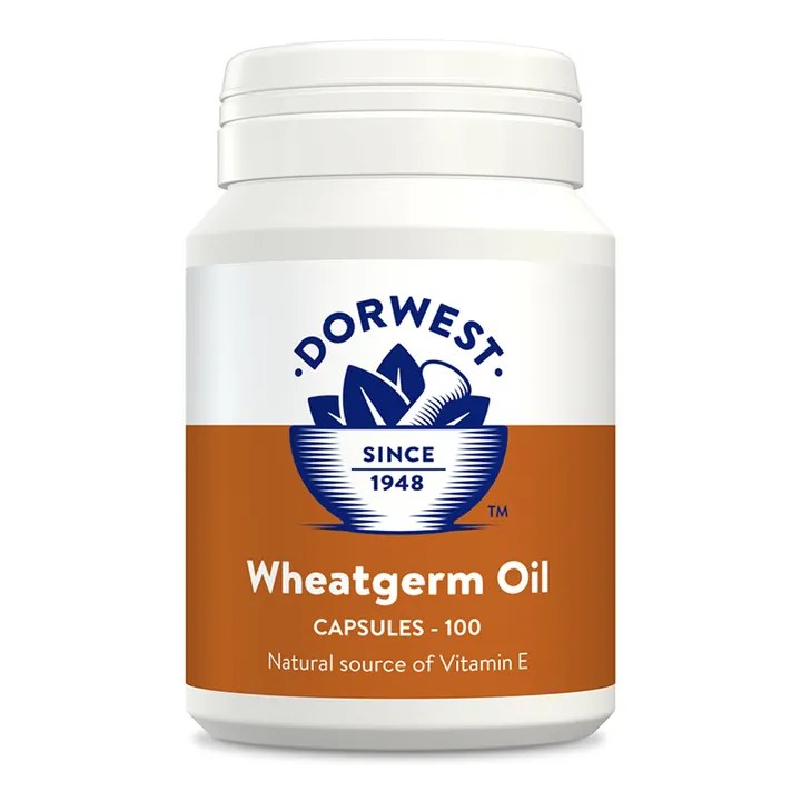 Wheatgerm Oil Capsules