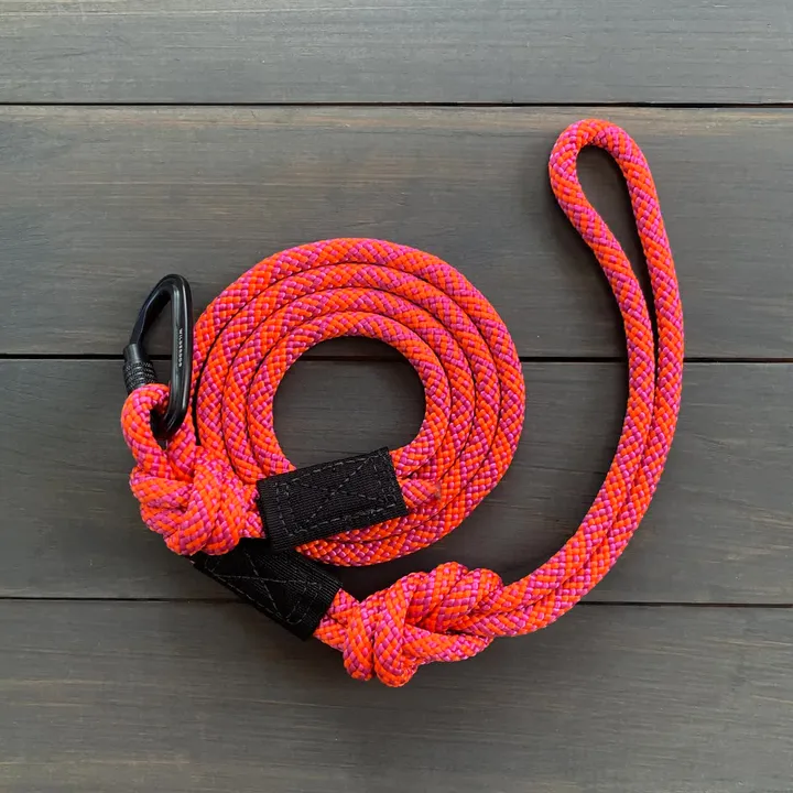 Sierra Small Carabiner Lead