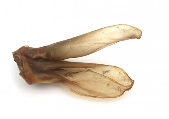 Natural Rabbit Ears Treat