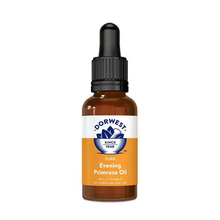 Evening Primrose Oil Liquid