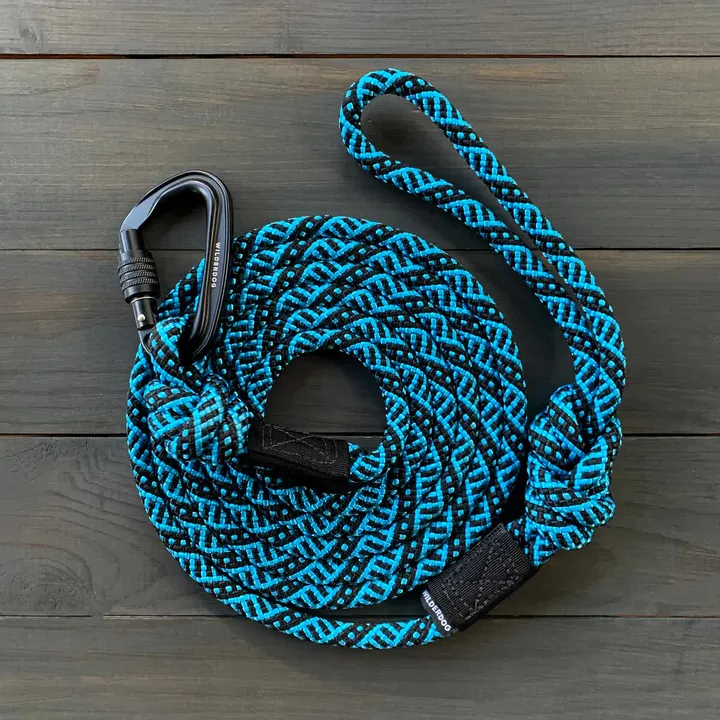Teton Carabiner Lead