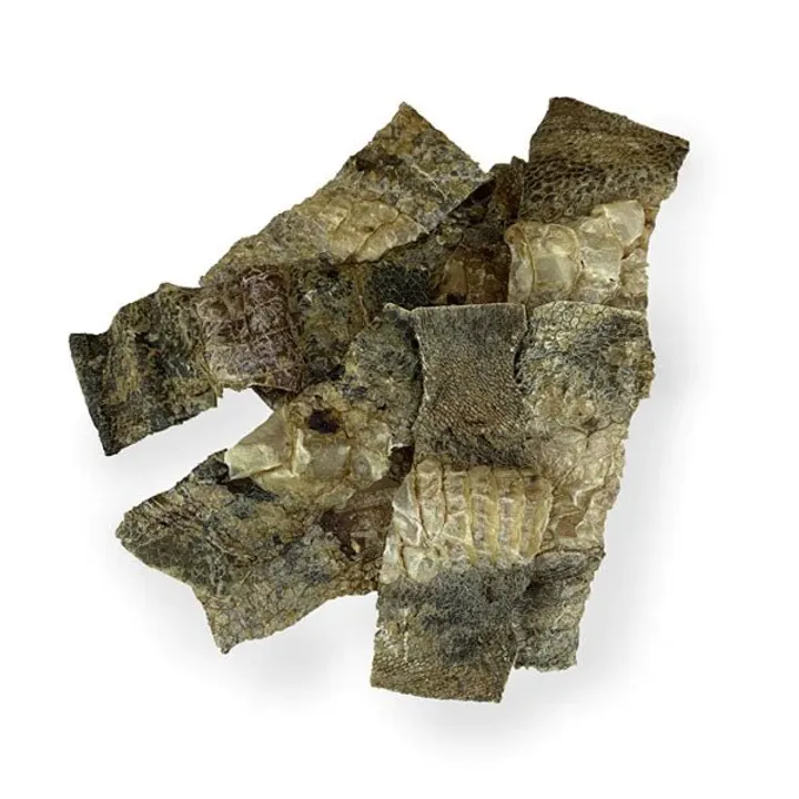 Ostrich Skin Slice
