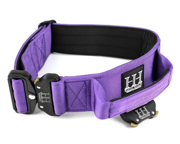Tactical Collar - Purple