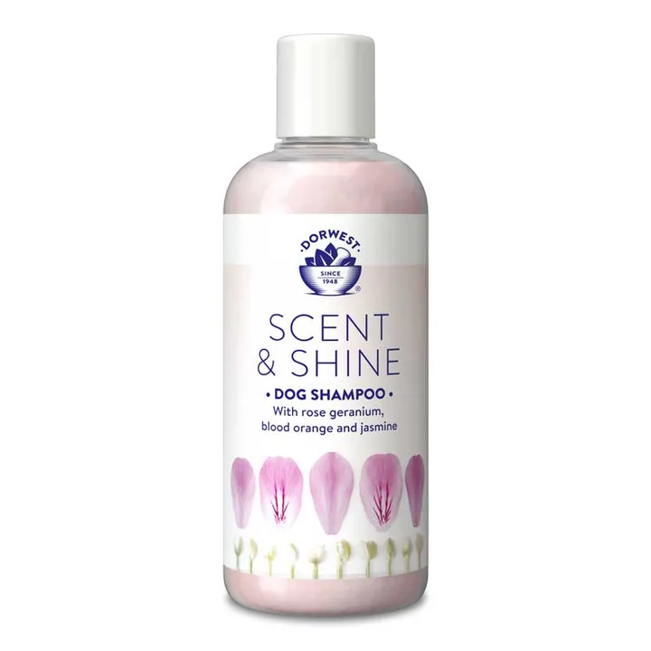 Scent and Shine Shampoo