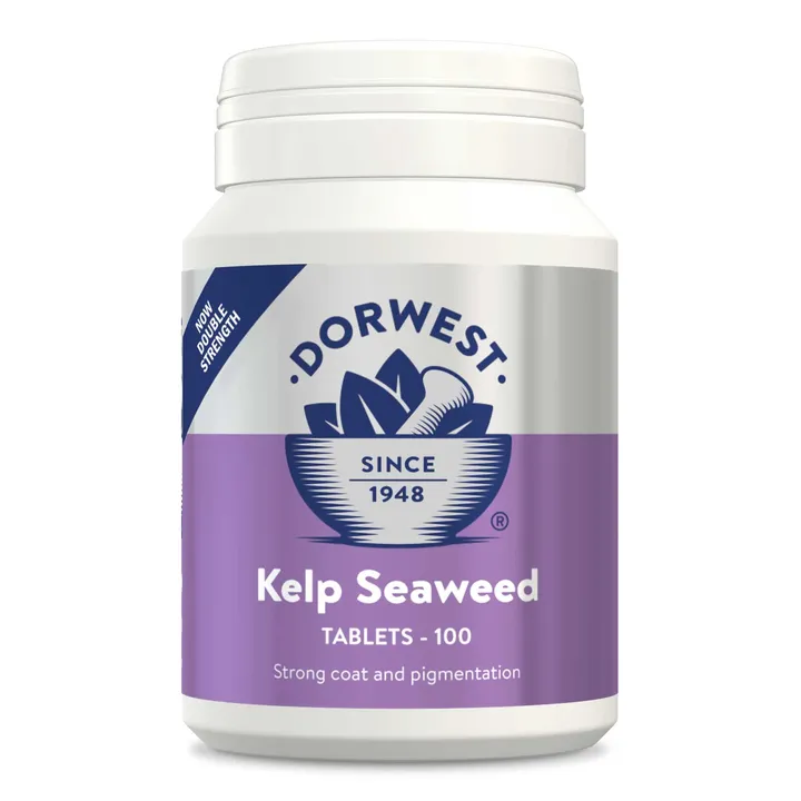 Kelp Seaweed Tablets