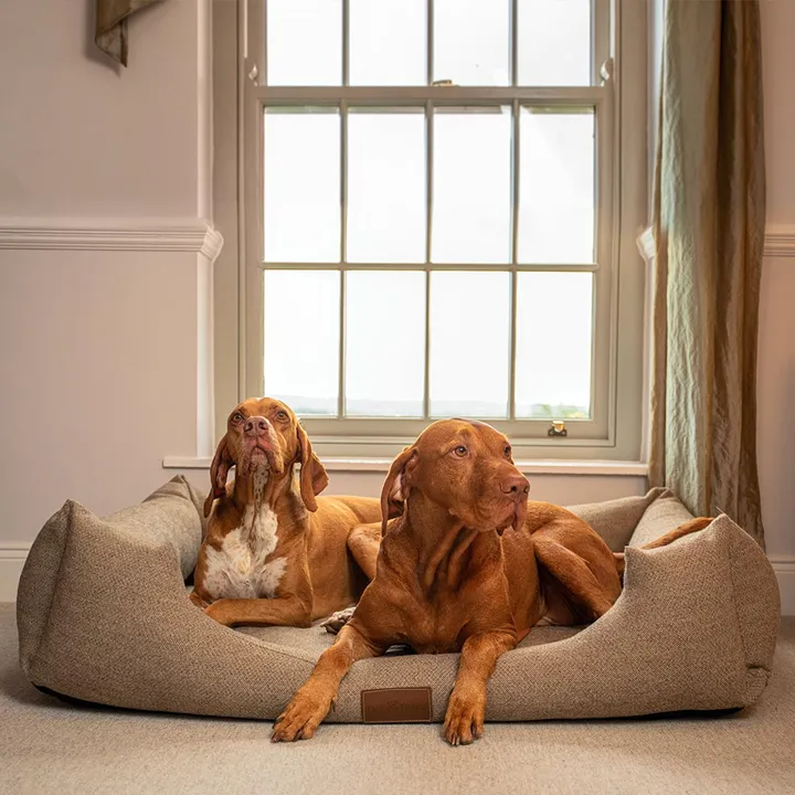 The Lounger Bed - Luxury Fabric